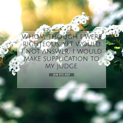 Picture 07 - Job 9:15 ASV - Whom, though I were righteous, yet would I not - Bible Verse Picture
