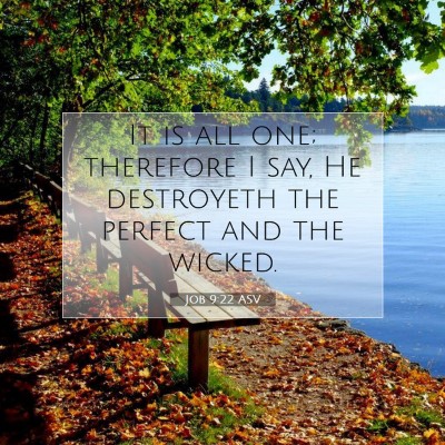 Picture 07 - Job 9:22 ASV - It is all one; therefore I say, He destroyeth the - Bible Verse Picture