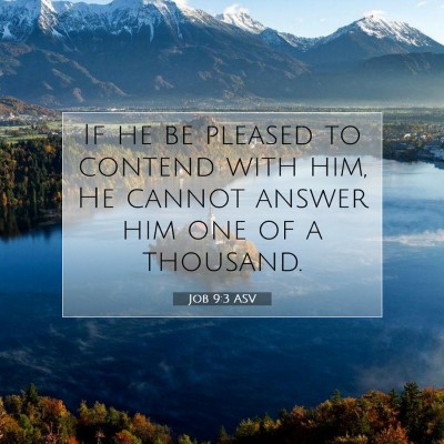 Picture 07 - Job 9:3 ASV - If he be pleased to contend with him, He cannot - Bible Verse Picture