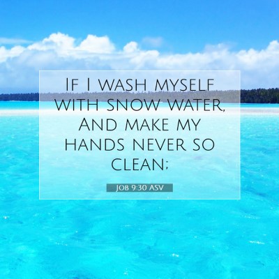 Picture 07 - Job 9:30 ASV - If I wash myself with snow water, And make my - Bible Verse Picture