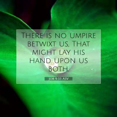 Picture 07 - Job 9:33 ASV - There is no umpire betwixt us, That might lay his - Bible Verse Picture