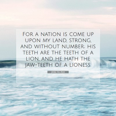 Picture 07 - Joel 1:6 ASV - For a nation is come up upon my land, strong, and - Bible Verse Picture