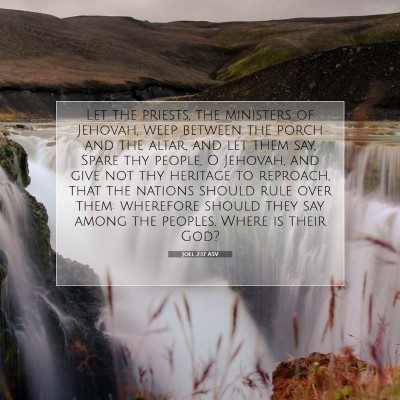 Picture 07 - Joel 2:17 ASV - Let the priests, the ministers of Jehovah, weep - Bible Verse Picture