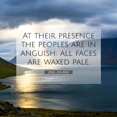 Picture 07 - Joel 2:6 ASV - At their presence the peoples are in anguish; all - Bible Verse Picture