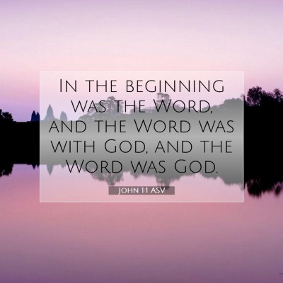 Picture 07 - John 1:1 ASV - In the beginning was the Word, and the Word was - Bible Verse Picture