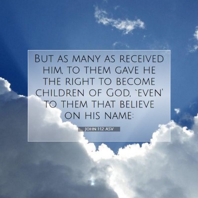Picture 07 - John 1:12 ASV - But as many as received him, to them gave he the - Bible Verse Picture