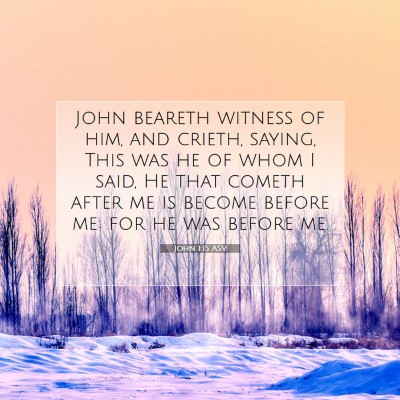 Picture 07 - John 1:15 ASV - John beareth witness of him, and crieth, saying, - Bible Verse Picture