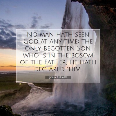 Picture 07 - John 1:18 ASV - No man hath seen God at any time; the only - Bible Verse Picture