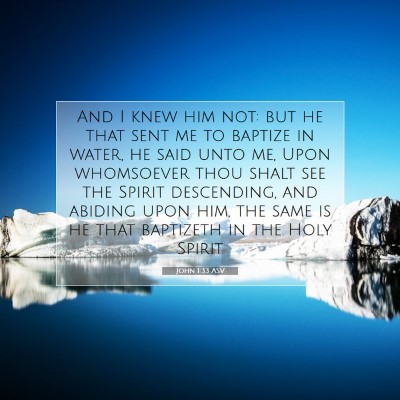 Picture 07 - John 1:33 ASV - And I knew him not: but he that sent me to - Bible Verse Picture