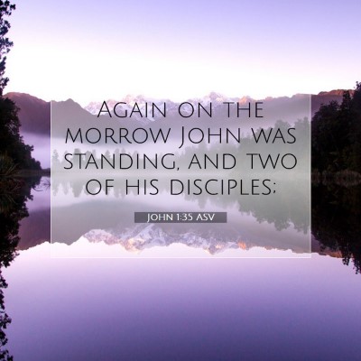 Picture 07 - John 1:35 ASV - Again on the morrow John was standing, and two of - Bible Verse Picture