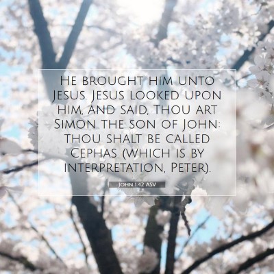 Picture 07 - John 1:42 ASV - He brought him unto Jesus. Jesus looked upon him, - Bible Verse Picture