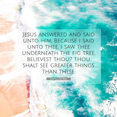 Picture 07 - John 1:50 ASV - Jesus answered and said unto him, Because I said - Bible Verse Picture