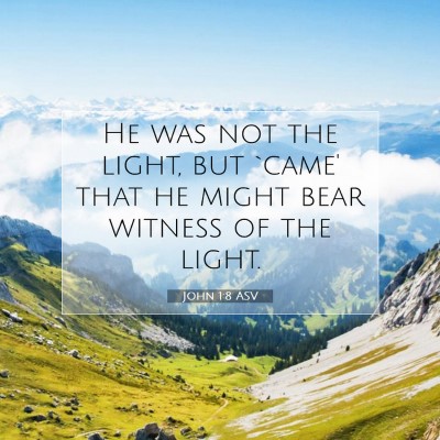 Picture 07 - John 1:8 ASV - He was not the light, but `came' that he might - Bible Verse Picture