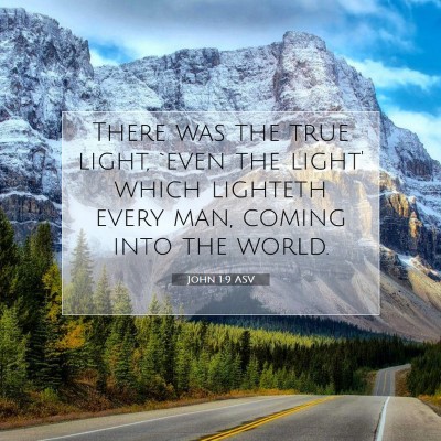 Picture 07 - John 1:9 ASV - There was the true light, `even the light' which - Bible Verse Picture