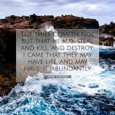 Picture 07 - John 10:10 ASV - The thief cometh not, but that he may steal, and - Bible Verse Picture
