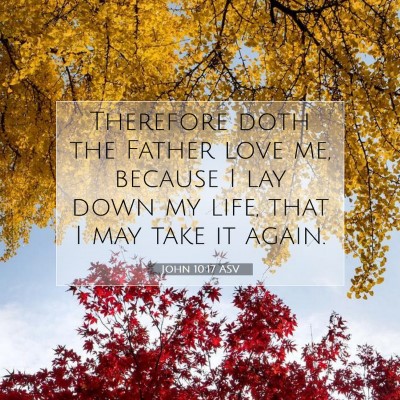 Picture 07 - John 10:17 ASV - Therefore doth the Father love me, because I lay - Bible Verse Picture