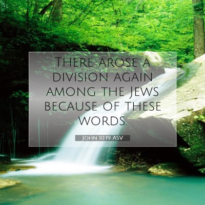 Picture 07 - John 10:19 ASV - There arose a division again among the Jews - Bible Verse Picture
