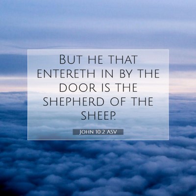 Picture 07 - John 10:2 ASV - But he that entereth in by the door is the - Bible Verse Picture