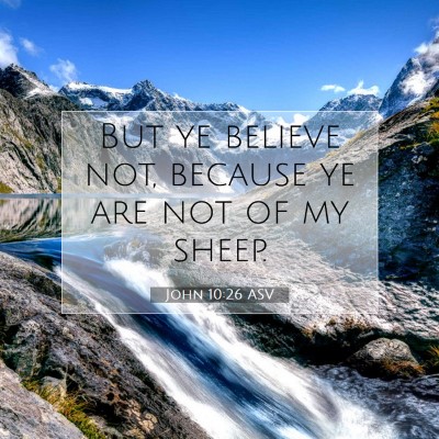 Picture 07 - John 10:26 ASV - But ye believe not, because ye are not of my - Bible Verse Picture