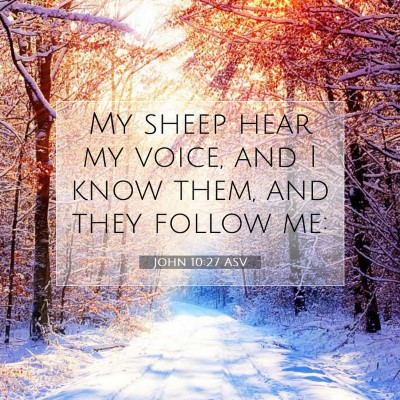 Picture 07 - John 10:27 ASV - My sheep hear my voice, and I know them, and they - Bible Verse Picture