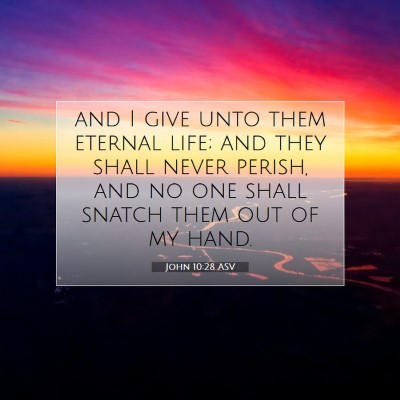 Picture 07 - John 10:28 ASV - and I give unto them eternal life; and they shall - Bible Verse Picture