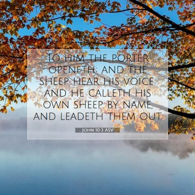 Picture 07 - John 10:3 ASV - To him the porter openeth; and the sheep hear his - Bible Verse Picture