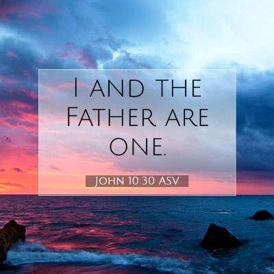 Picture 07 - John 10:30 ASV - I and the Father are - Bible Verse Picture