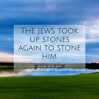 Picture 07 - John 10:31 ASV - The Jews took up stones again to stone - Bible Verse Picture