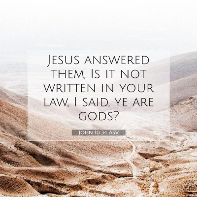 Picture 07 - John 10:34 ASV - Jesus answered them, Is it not written in your - Bible Verse Picture
