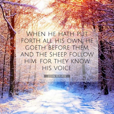 Picture 07 - John 10:4 ASV - When he hath put forth all his own, he goeth - Bible Verse Picture