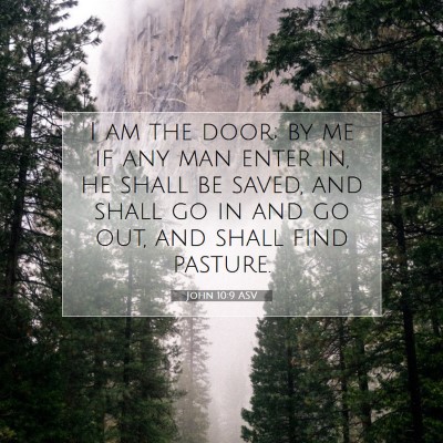 Picture 07 - John 10:9 ASV - I am the door; by me if any man enter in, he - Bible Verse Picture