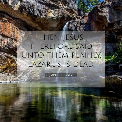 Picture 07 - John 11:14 ASV - Then Jesus therefore said unto them plainly, - Bible Verse Picture