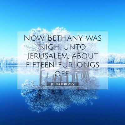 Picture 07 - John 11:18 ASV - Now Bethany was nigh unto Jerusalem, about - Bible Verse Picture