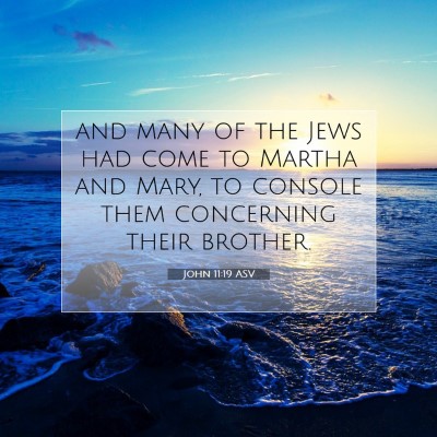 Picture 07 - John 11:19 ASV - and many of the Jews had come to Martha and Mary, - Bible Verse Picture