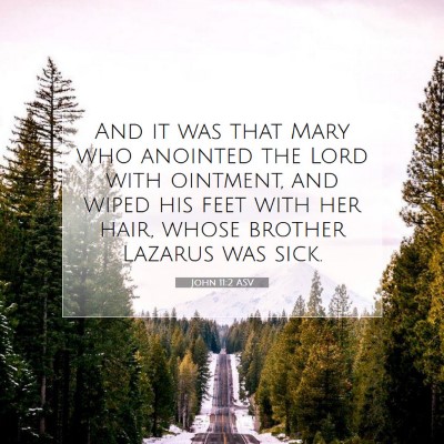 Picture 07 - John 11:2 ASV - And it was that Mary who anointed the Lord with - Bible Verse Picture
