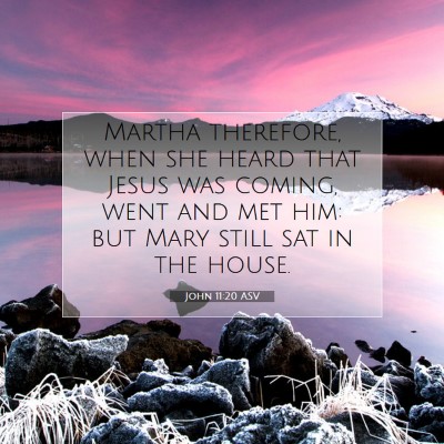 Picture 07 - John 11:20 ASV - Martha therefore, when she heard that Jesus was - Bible Verse Picture