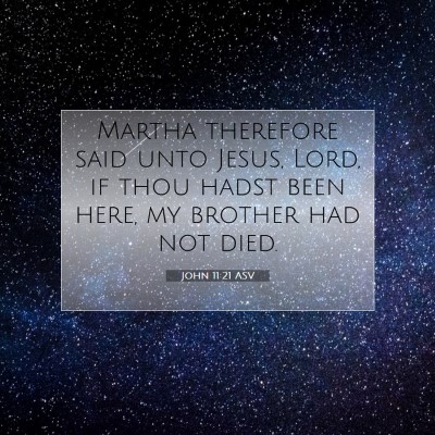 Picture 07 - John 11:21 ASV - Martha therefore said unto Jesus, Lord, if thou - Bible Verse Picture