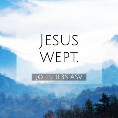 Picture 07 - John 11:35 ASV - Jesus - Bible Verse Picture