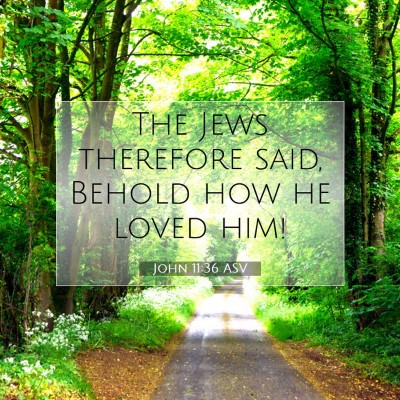 Picture 07 - John 11:36 ASV - The Jews therefore said, Behold how he loved - Bible Verse Picture