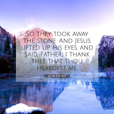 Picture 07 - John 11:41 ASV - So they took away the stone. And Jesus lifted up - Bible Verse Picture