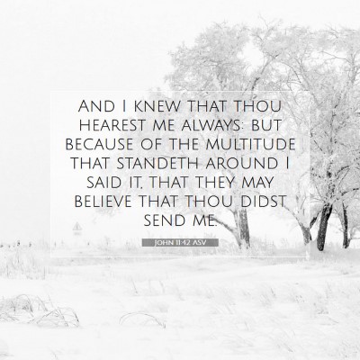 Picture 07 - John 11:42 ASV - And I knew that thou hearest me always: but - Bible Verse Picture