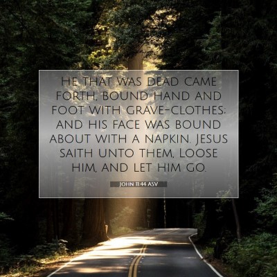 Picture 07 - John 11:44 ASV - He that was dead came forth, bound hand and foot - Bible Verse Picture