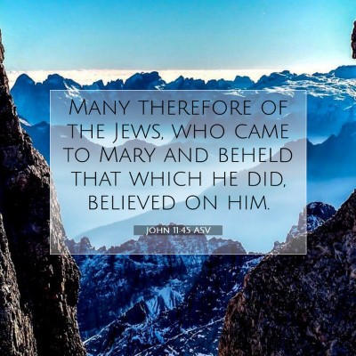 Picture 07 - John 11:45 ASV - Many therefore of the Jews, who came to Mary and - Bible Verse Picture