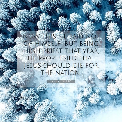 Picture 07 - John 11:51 ASV - Now this he said not of himself: but, being high - Bible Verse Picture