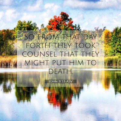 Picture 07 - John 11:53 ASV - So from that day forth they took counsel that - Bible Verse Picture