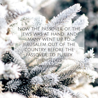 Picture 07 - John 11:55 ASV - Now the passover of the Jews was at hand: and - Bible Verse Picture