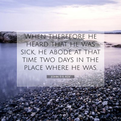 Picture 07 - John 11:6 ASV - When therefore he heard that he was sick, he - Bible Verse Picture