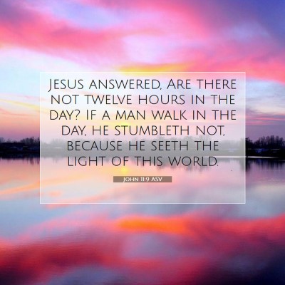 Picture 07 - John 11:9 ASV - Jesus answered, Are there not twelve hours in the - Bible Verse Picture