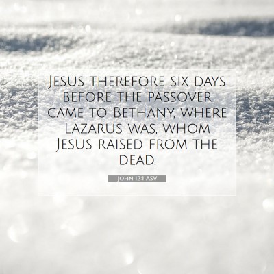 Picture 07 - John 12:1 ASV - Jesus therefore six days before the passover came - Bible Verse Picture