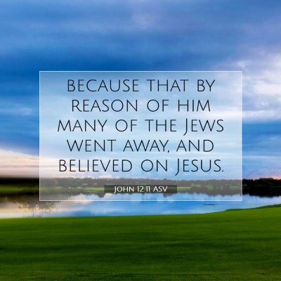 Picture 07 - John 12:11 ASV - because that by reason of him many of the Jews - Bible Verse Picture